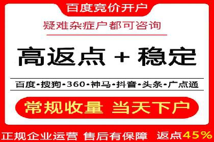 探索百度SEM竞价推广的奥秘：某行业巨头的成功经验